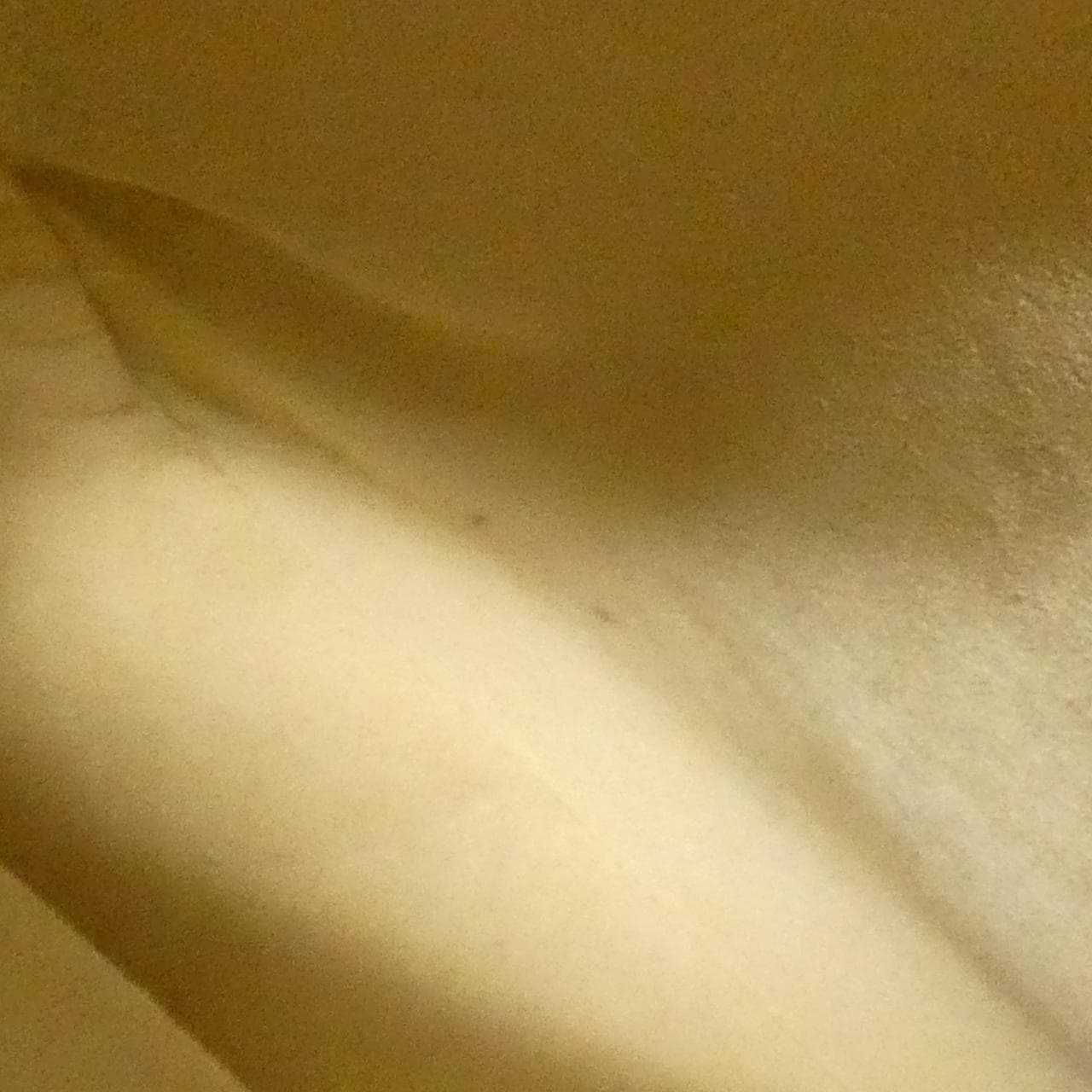 ルイヴィトン モノグラム ルーピング GM M51145 ショルダーバッグ