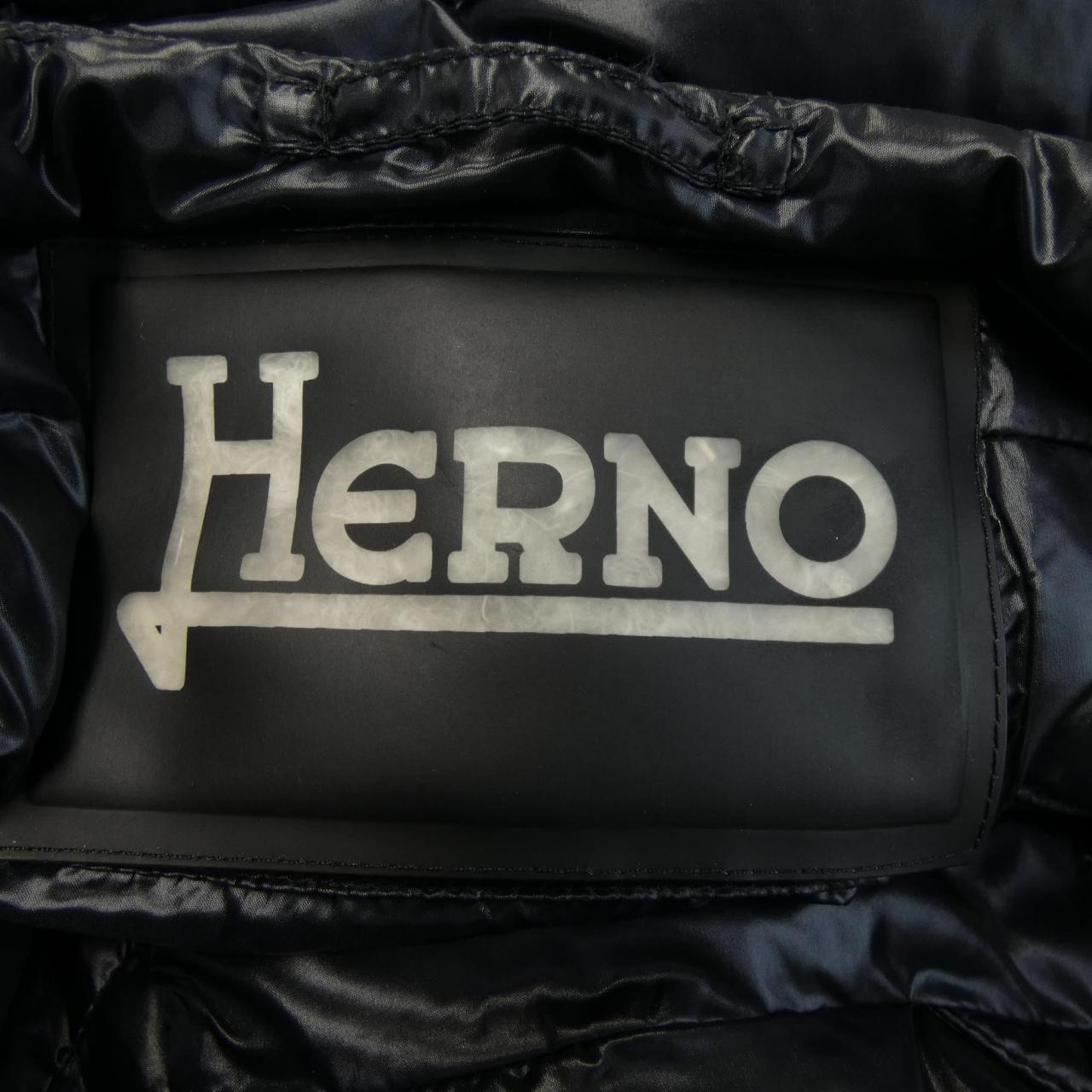 ヘルノ Herno PI0946D ダウンジャケット