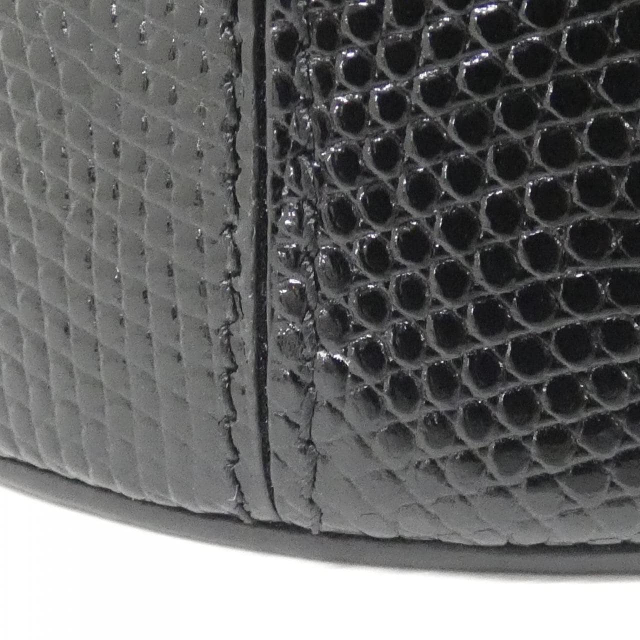 セリーヌ ニナ ミノディエール 111354COE バッグ