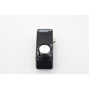 ＷＥＳＴＭＩＮＳＴＥＲ　ＥＦＦＥＣＴＳ　ＭＩＣＲＯ　ＥＸＰＲＥＳＳＩＯＮ（ＴＳ）