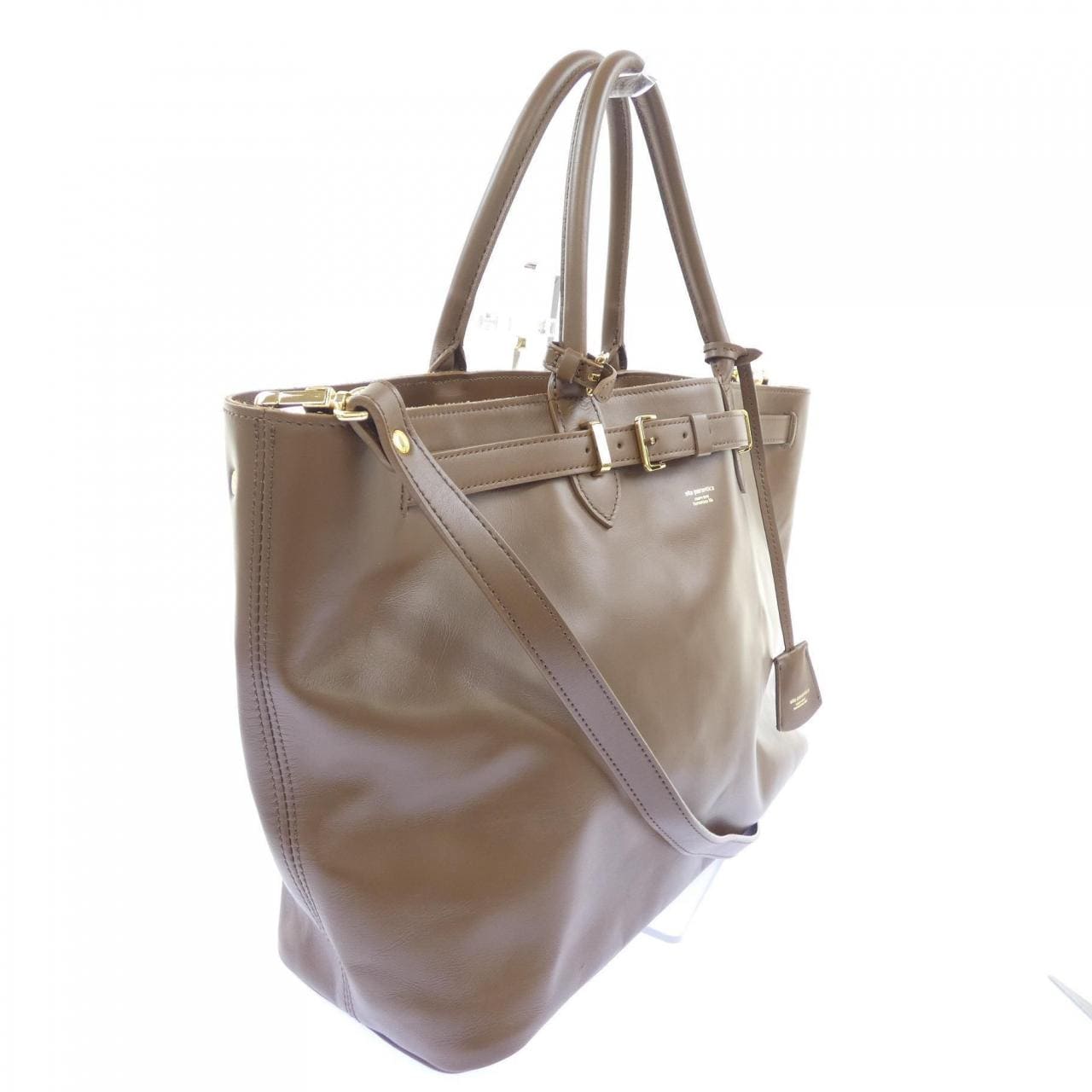 シータパランティカ sita parantica BAG