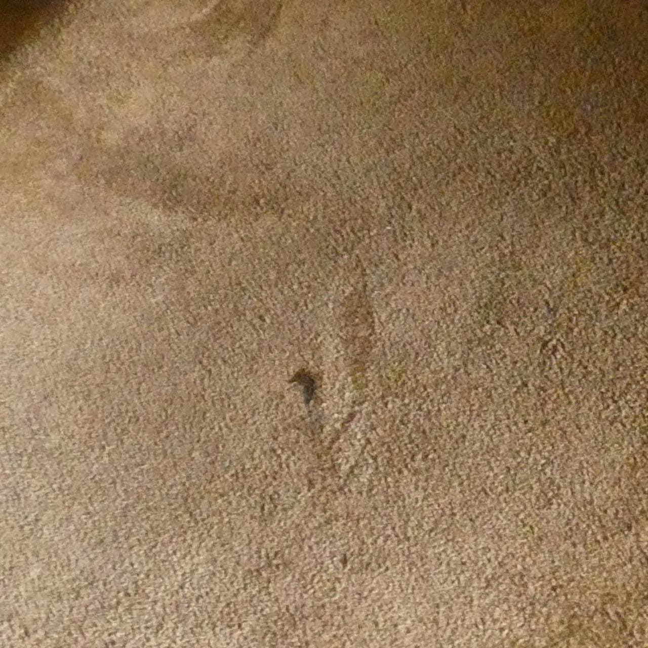 サンローラン ボールド ショッピングバッグ 676657 バッグ