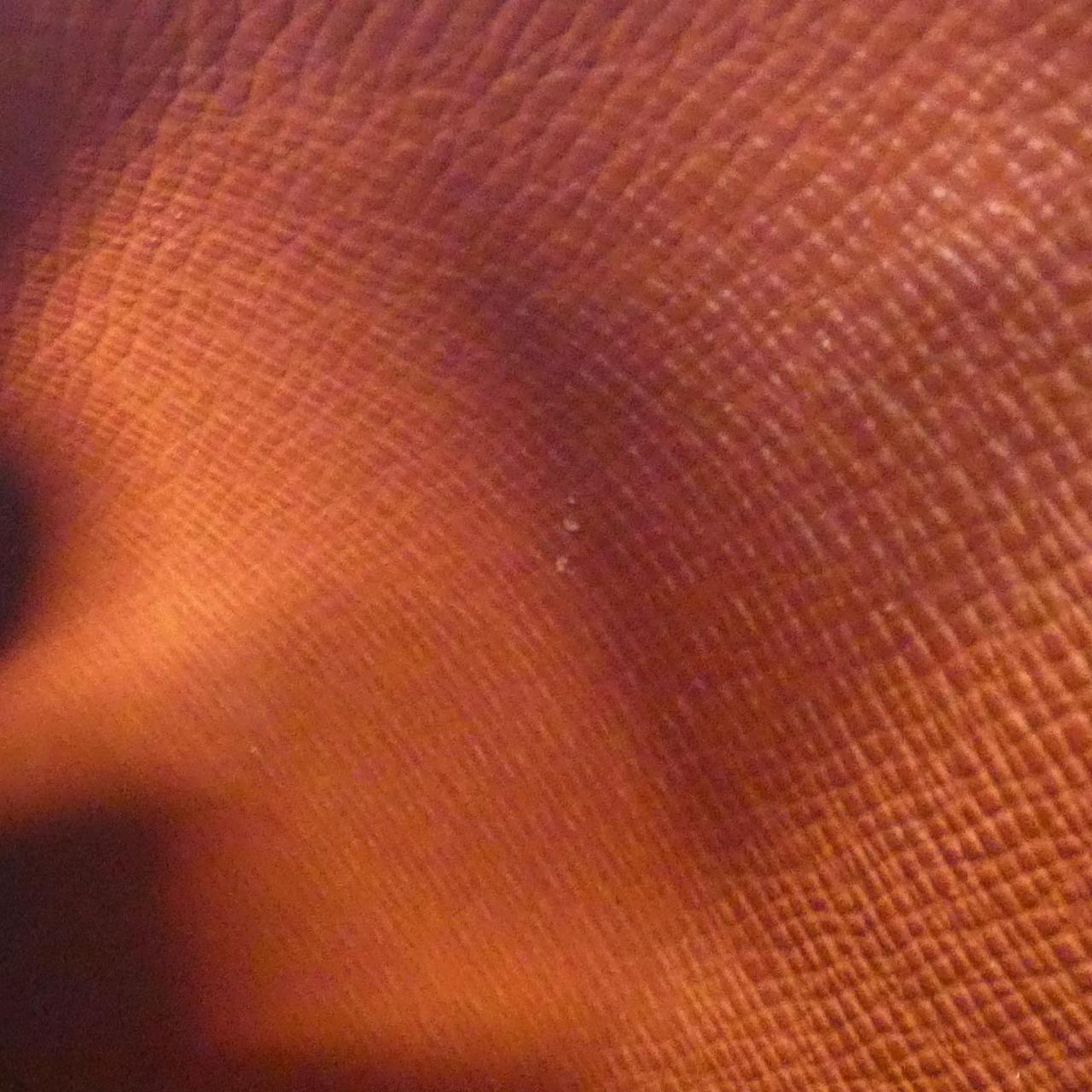 ルイヴィトン ダミエ パピヨン 26cm N51304 バッグ