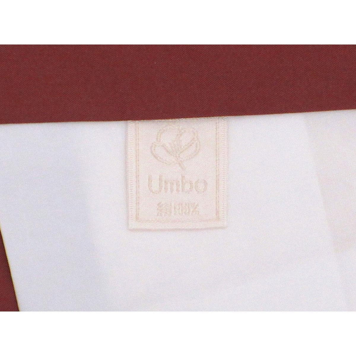 【未使用品】訪問着　染紬　友禅金彩加工