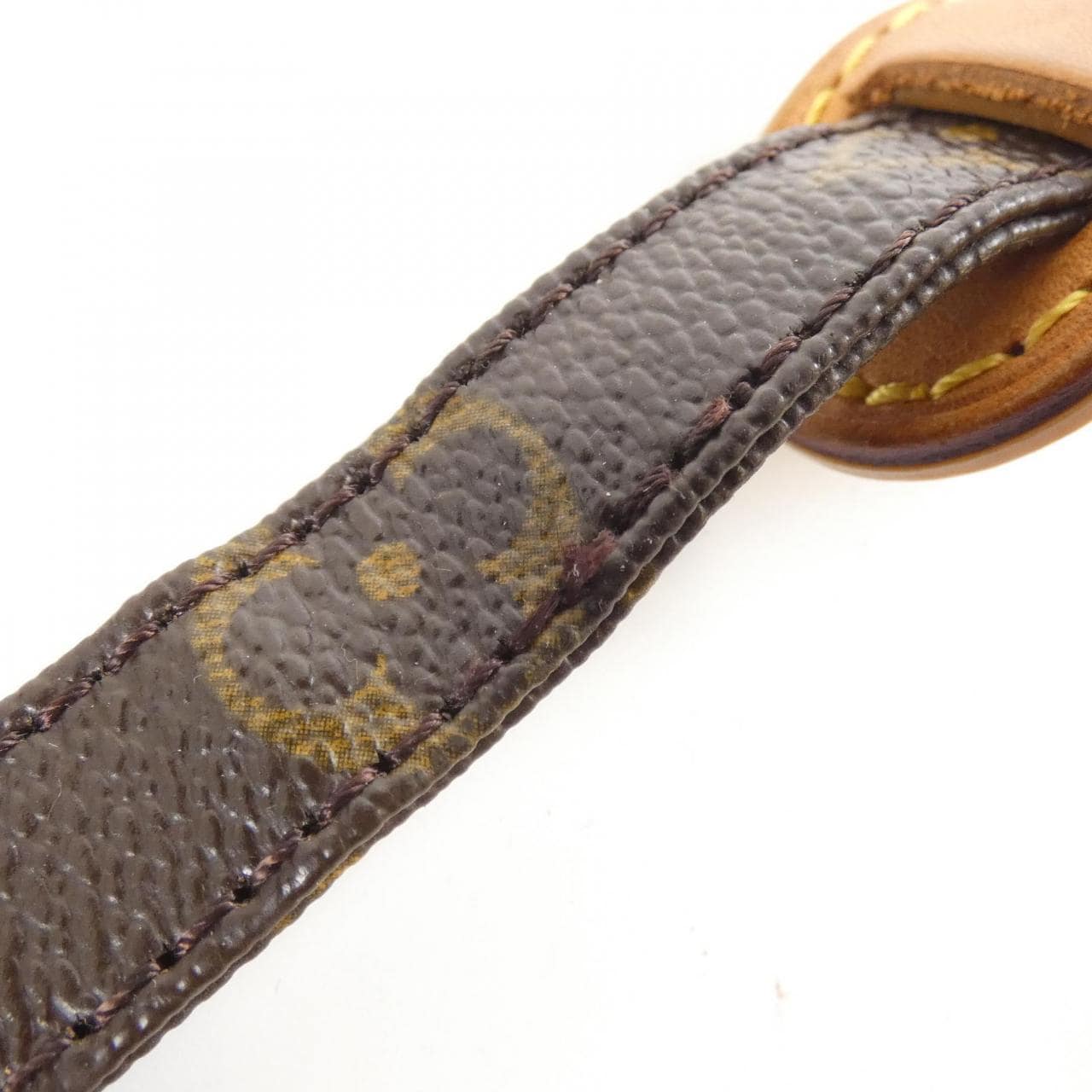 LOUIS VUITTON Monogram Danube M45266 单肩包