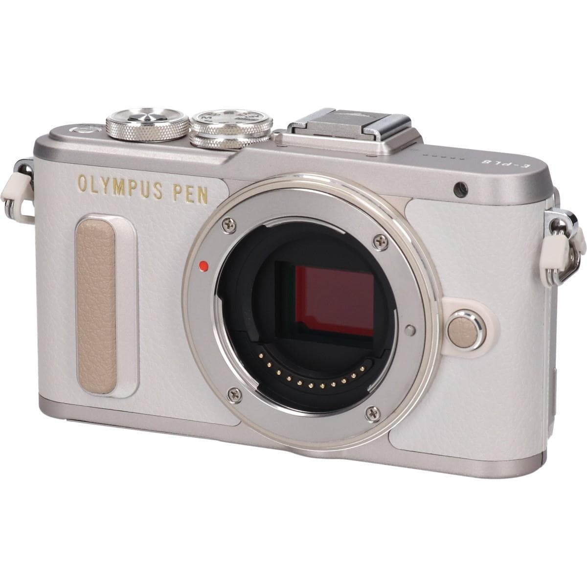 Ｅ－ＰＬ８　ホワイト