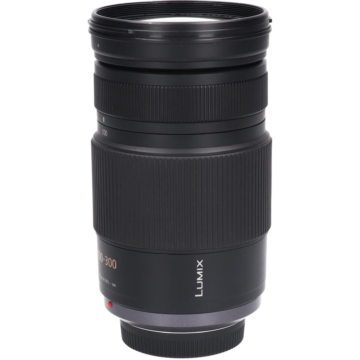 Ｇ１００－３００ｍｍ　Ｆ４－５．６ＭＥＧ