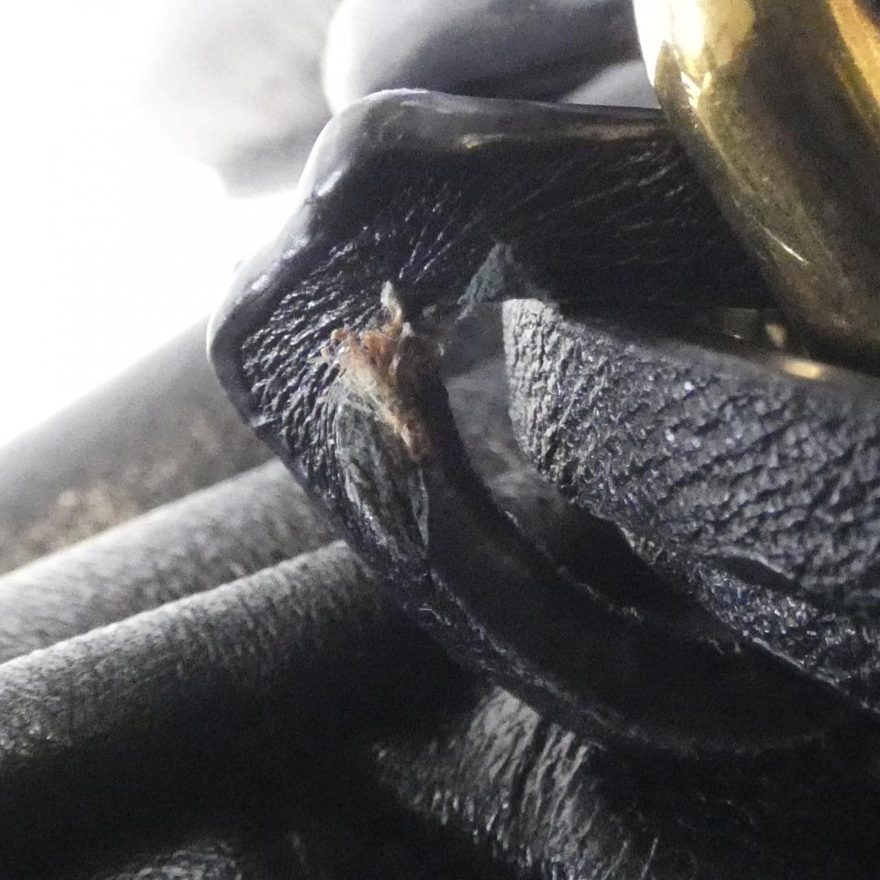 ミュウミュウ 5BB148 バッグ