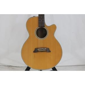 ＴＡＫＡＭＩＮＥ　ＰＴ－１０６