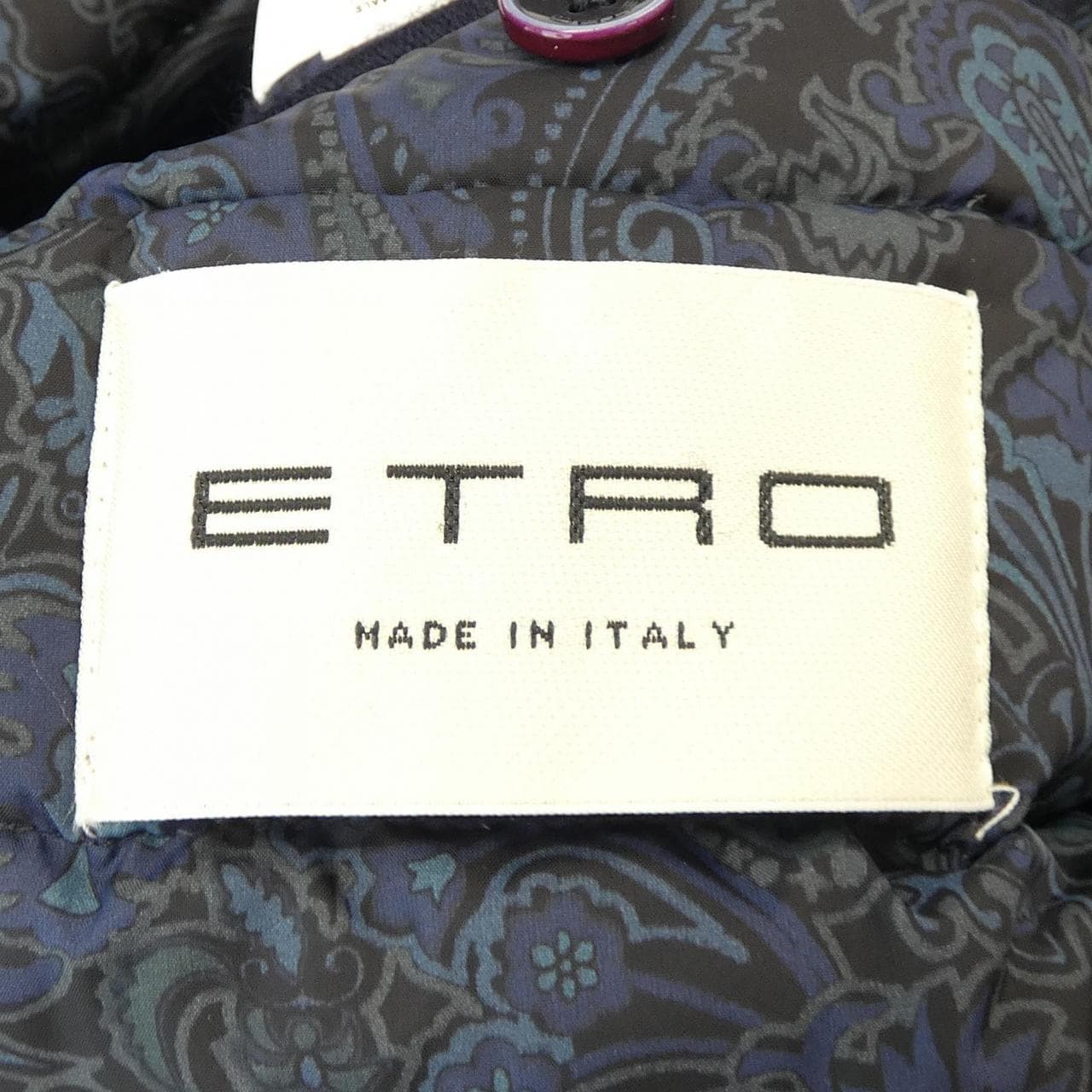 エトロ ETRO ダウンコート