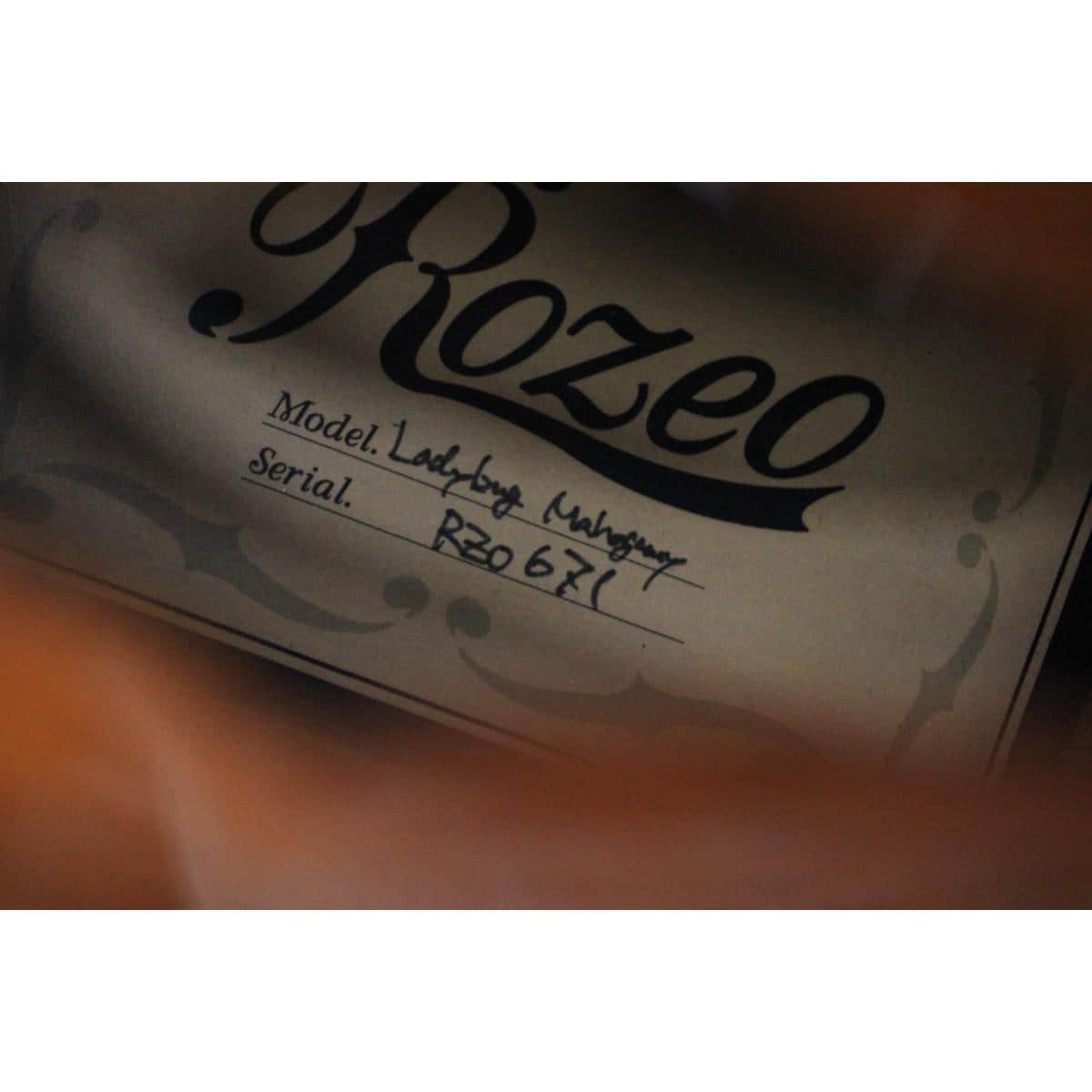 ＲＯＺＥＯ　ＬＡＤＹＢＵＧ　ＭＡＨＯＧＡＮＹ