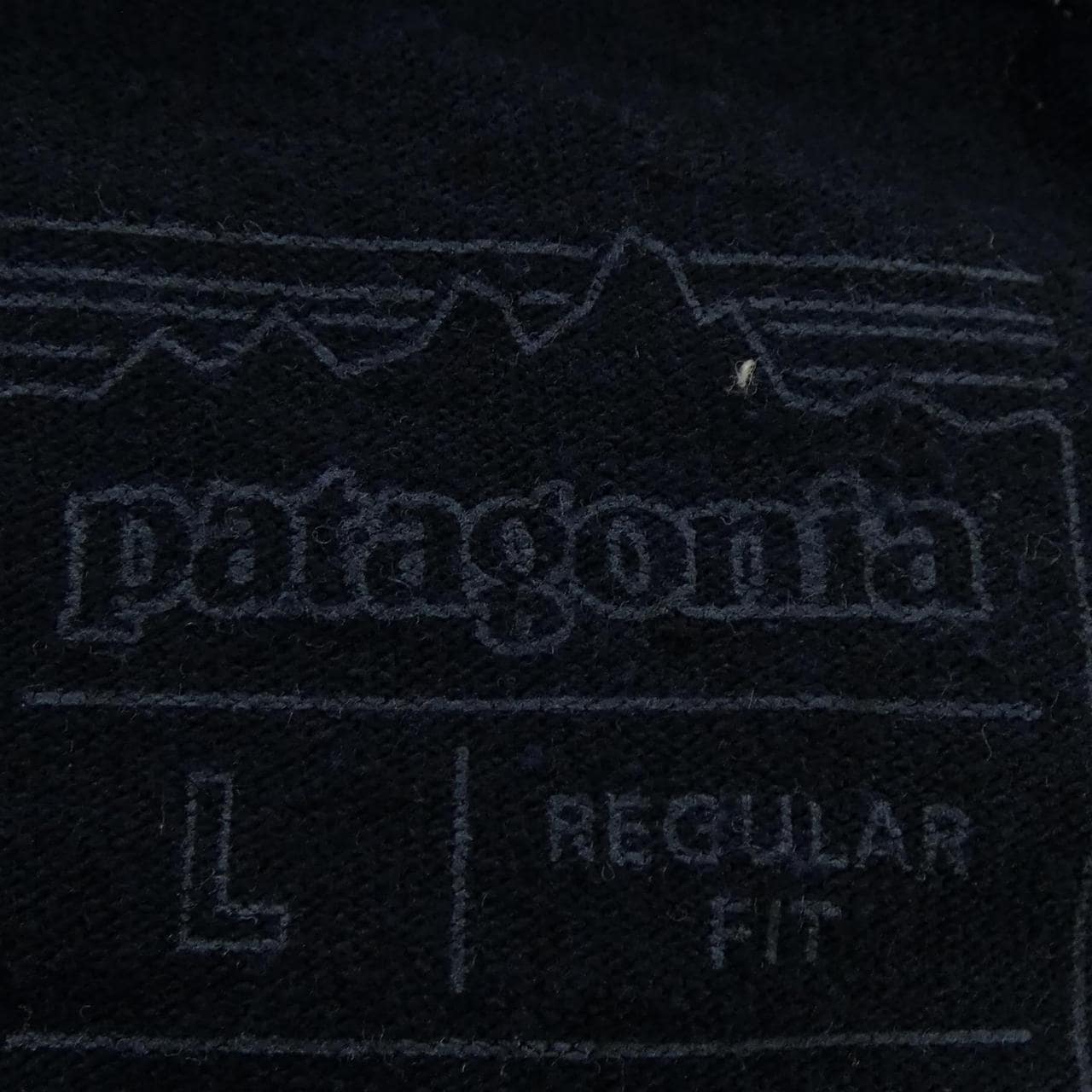 パタゴニア PATAGONIA Tシャツ