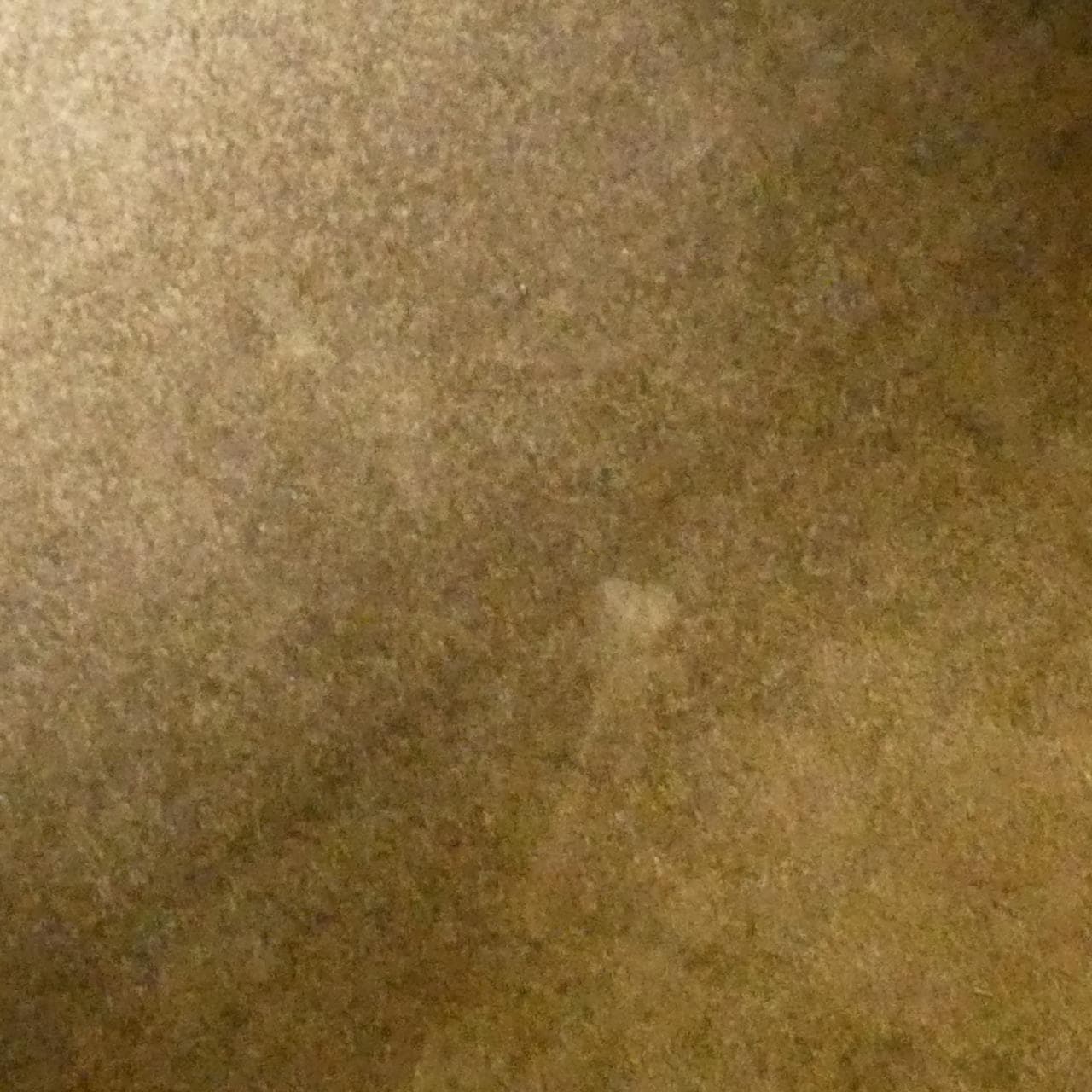 セリーヌ カバ ファントム スモール 176023TNI バッグ