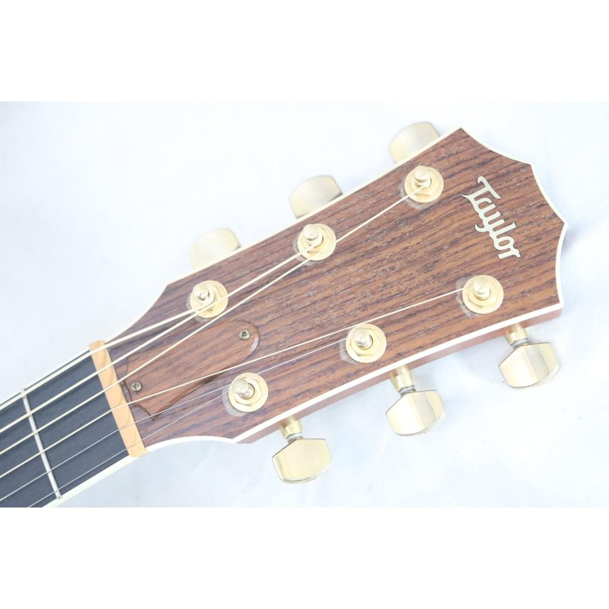 ＴＡＹＬＯＲ　　ＣＵＳＴＯＭ　ＤＮ