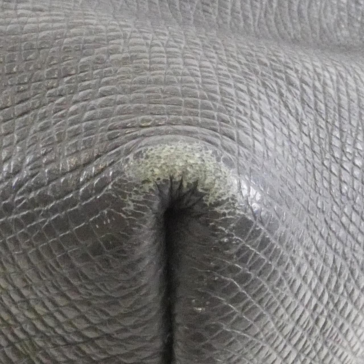 ルイヴィトン タイガ ディスカバリー バックパック M33451 リュックサック