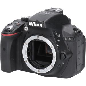 Ｄ５３００