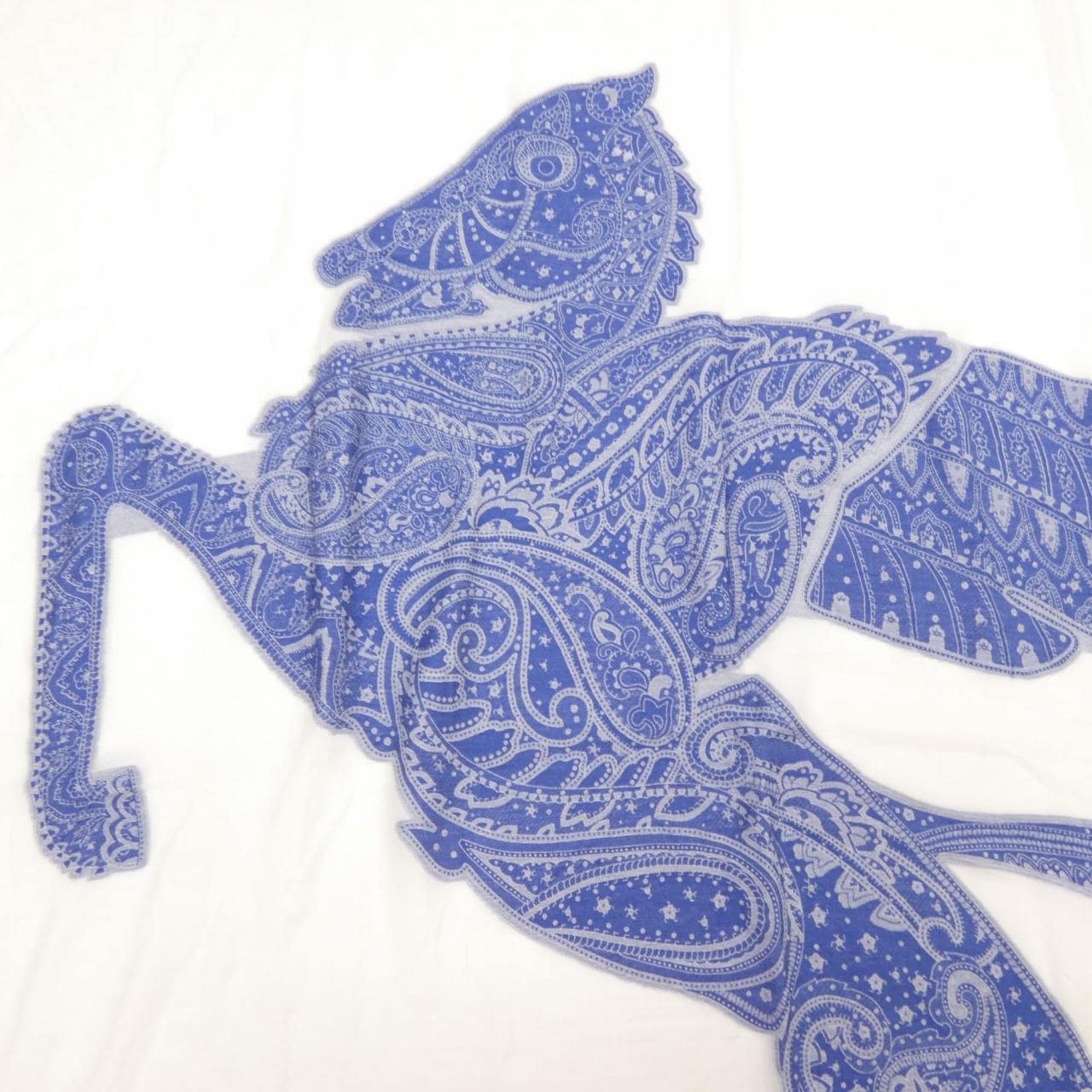 ETRO STOLE