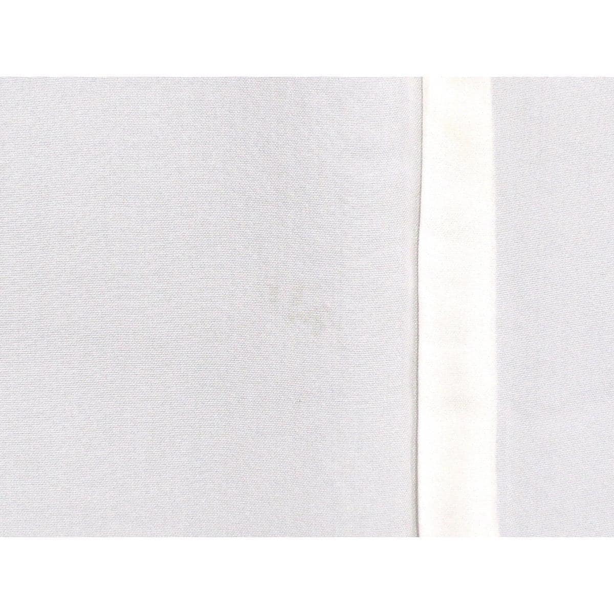 単衣　訪問着　刺繍入り