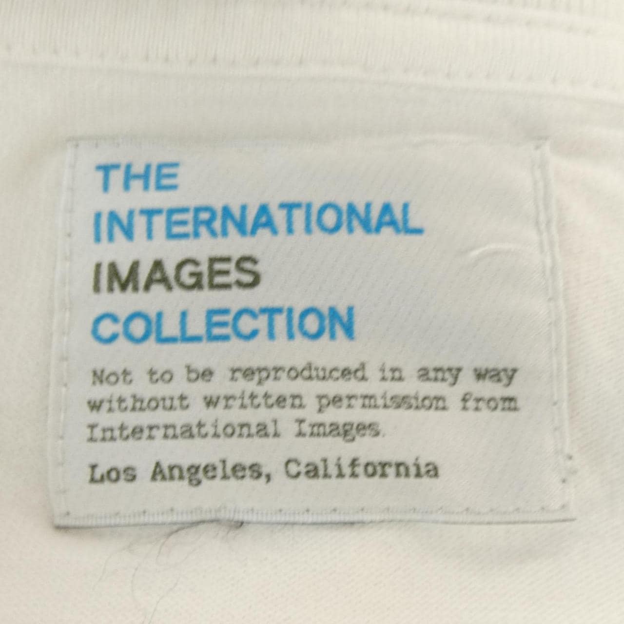 THE INTERNATIONAL T-shirt