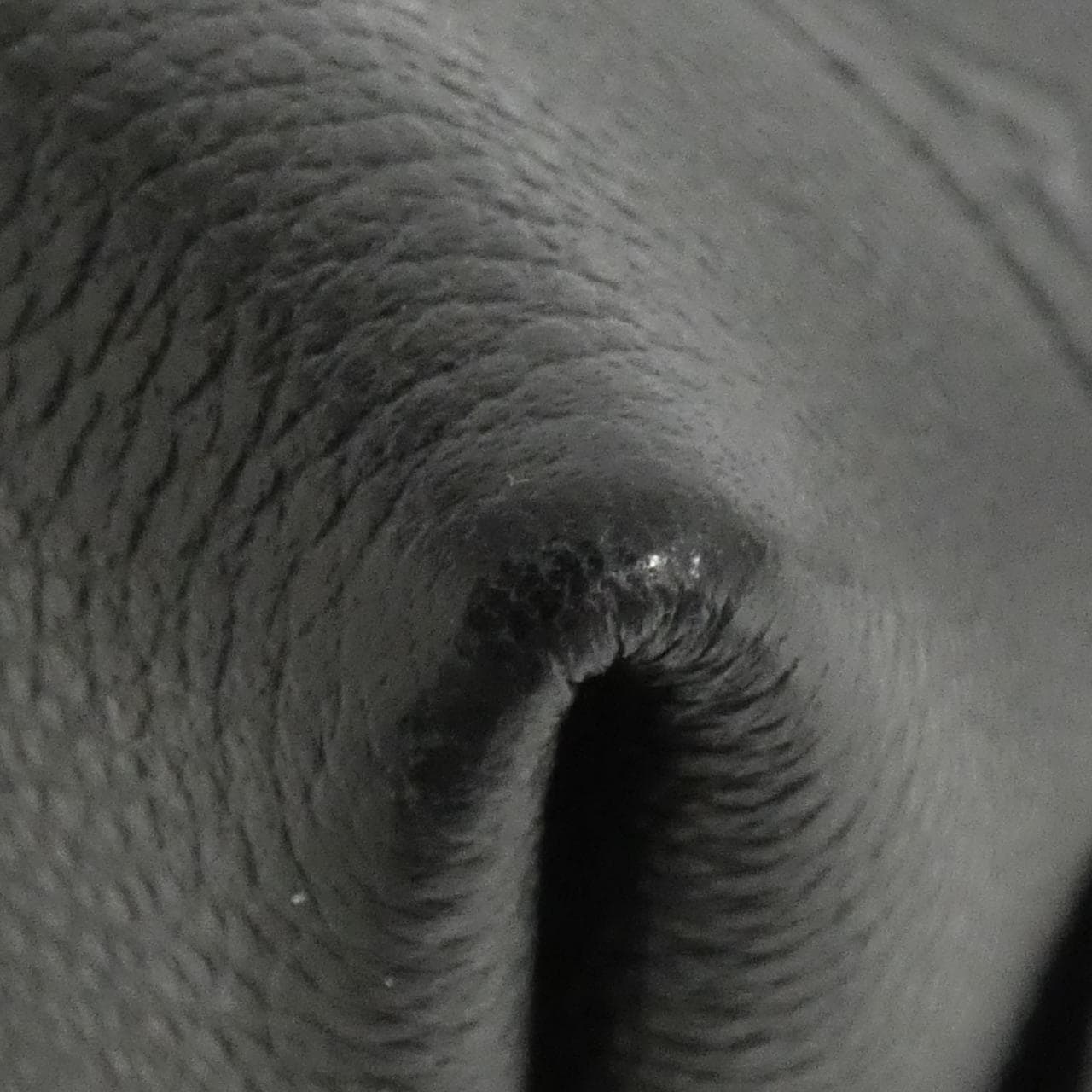 ルイヴィトン モノグラム アンプラント ネオ アルマBB M44829 バッグ