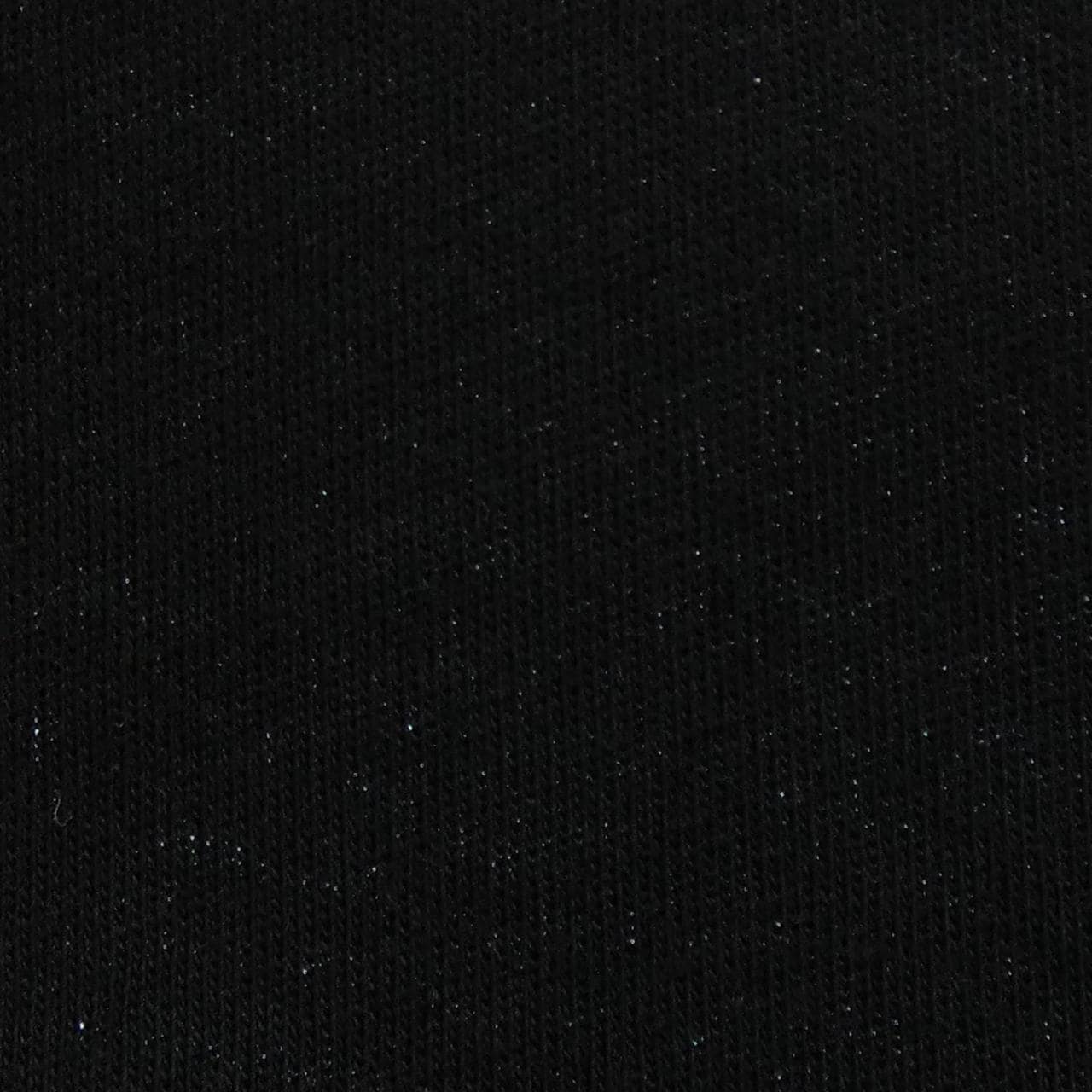 ドリスヴァンノッテン DRIES VAN NOTEN Tシャツ
