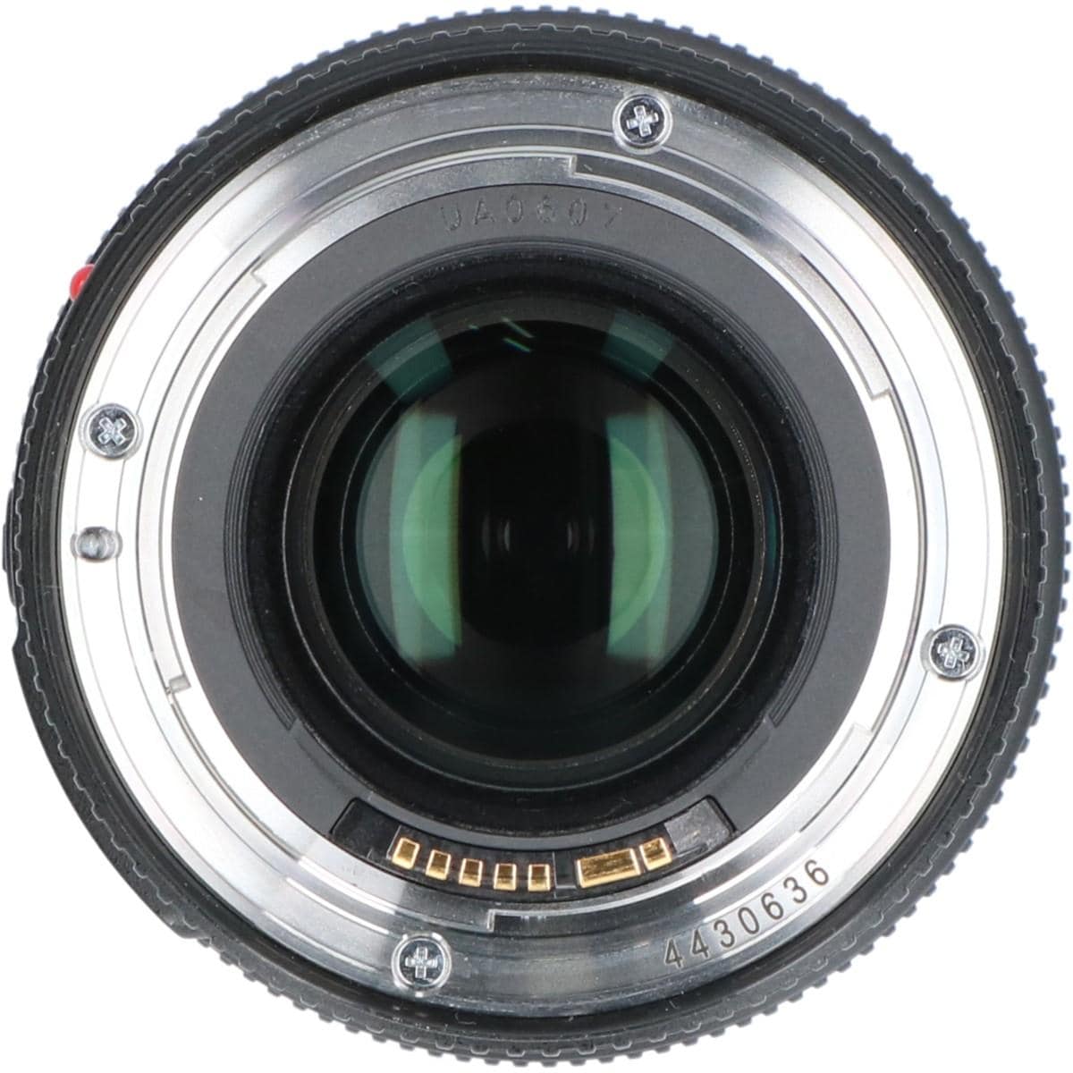 ＥＦ１００ｍｍ　Ｆ２．８Ｌ　ＭＡＣＲＯ　ＩＳ　ＵＳＭ