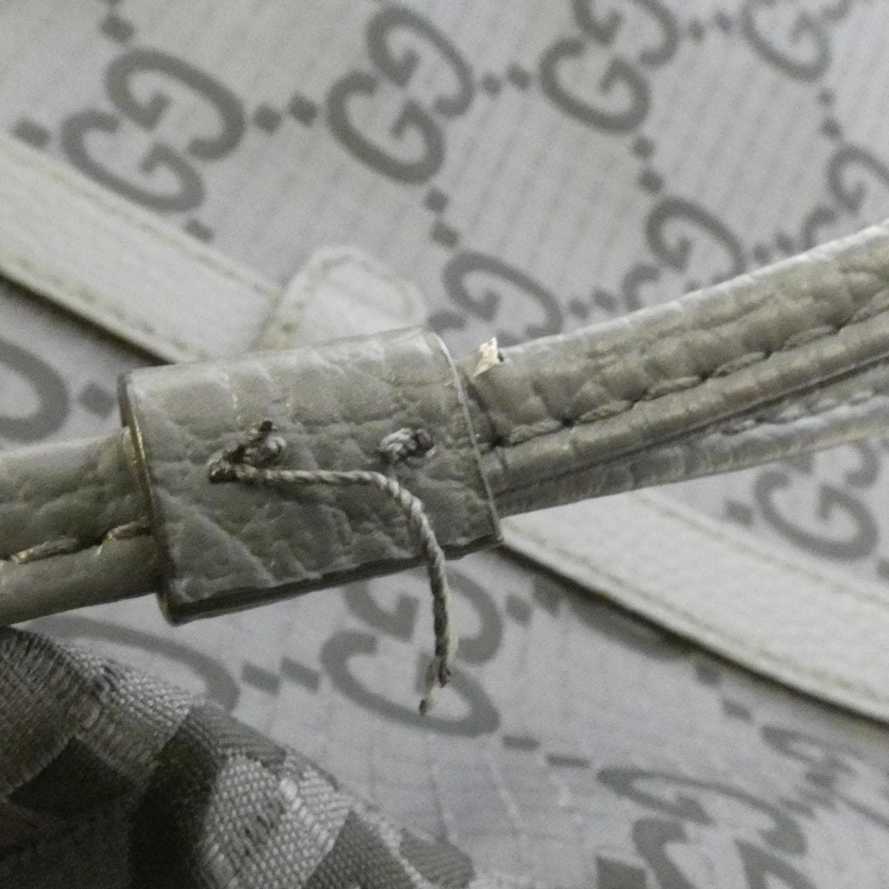 グッチ 767929 FACPM バッグ