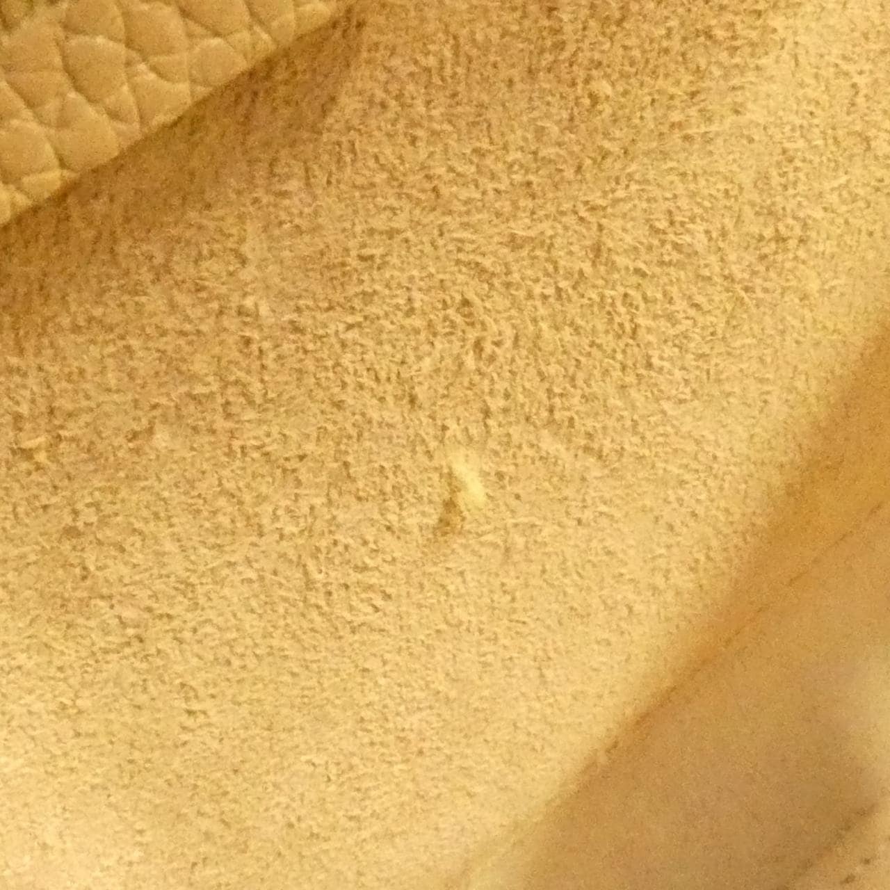 セリーヌ ラゲージ ナノ ショッパー 189243DRU バッグ