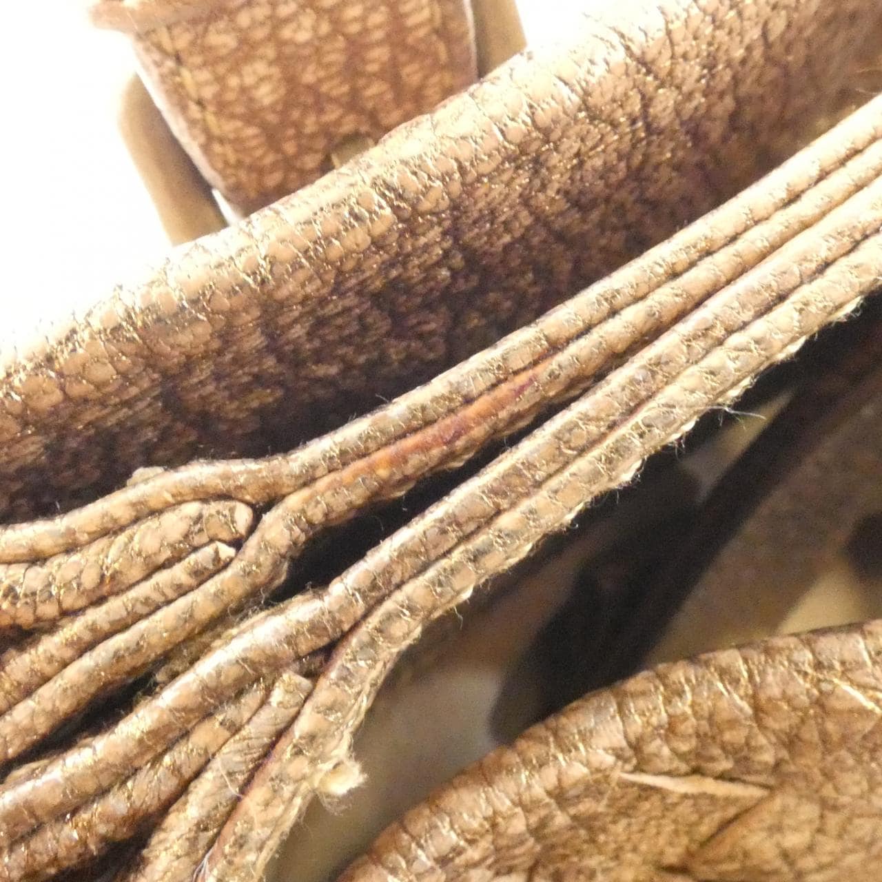 ボッテガヴェネタ 176599 VAGG1 バッグ