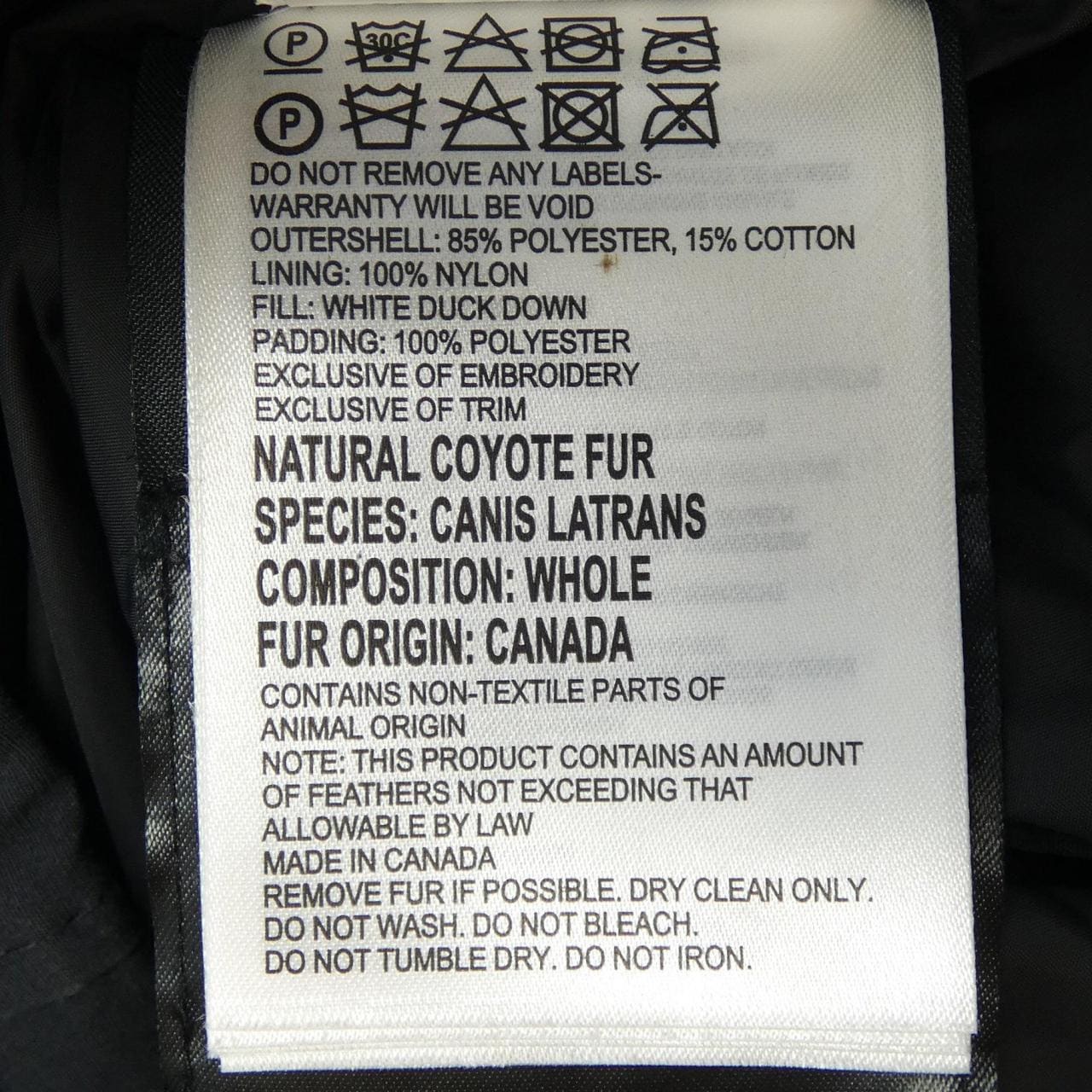 Canada goose CANADA GOOSE down coat