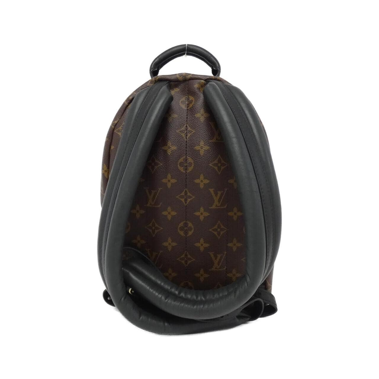 LOUIS VUITTON Monogram Palm Springs Backpack PM M44871 Rucksack