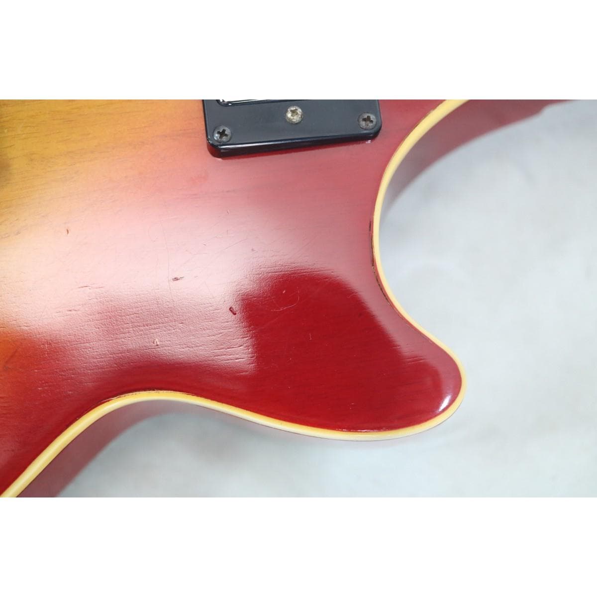 ＥＰＩＰＨＯＮＥ　　ＧＥＮＥＳＩＳ　ＳＴＡＮＤＡＲＤ