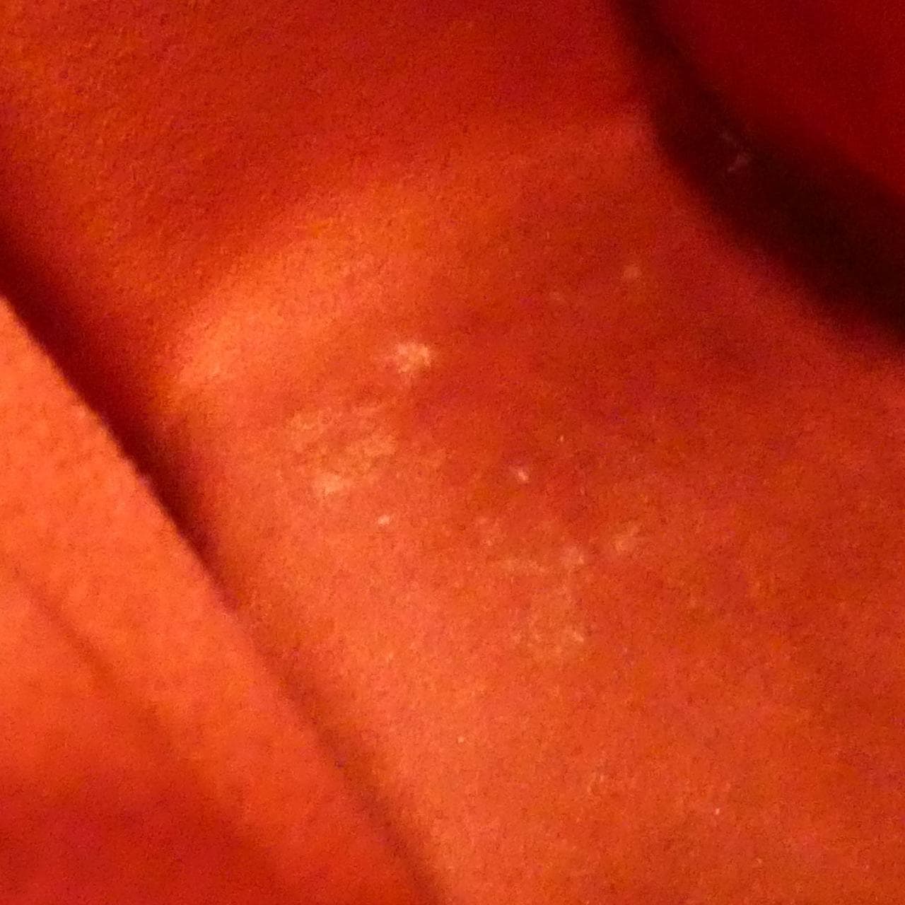 ルイヴィトン モノグラム ミュルティプリ シテ M51162 バッグ