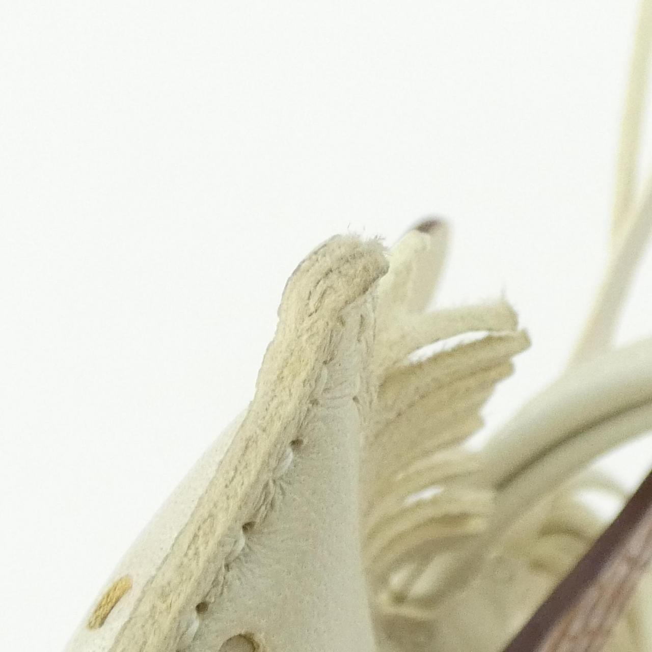 エルメス ロデオ ペガサス タッチ バッグチャーム PM 083289CA