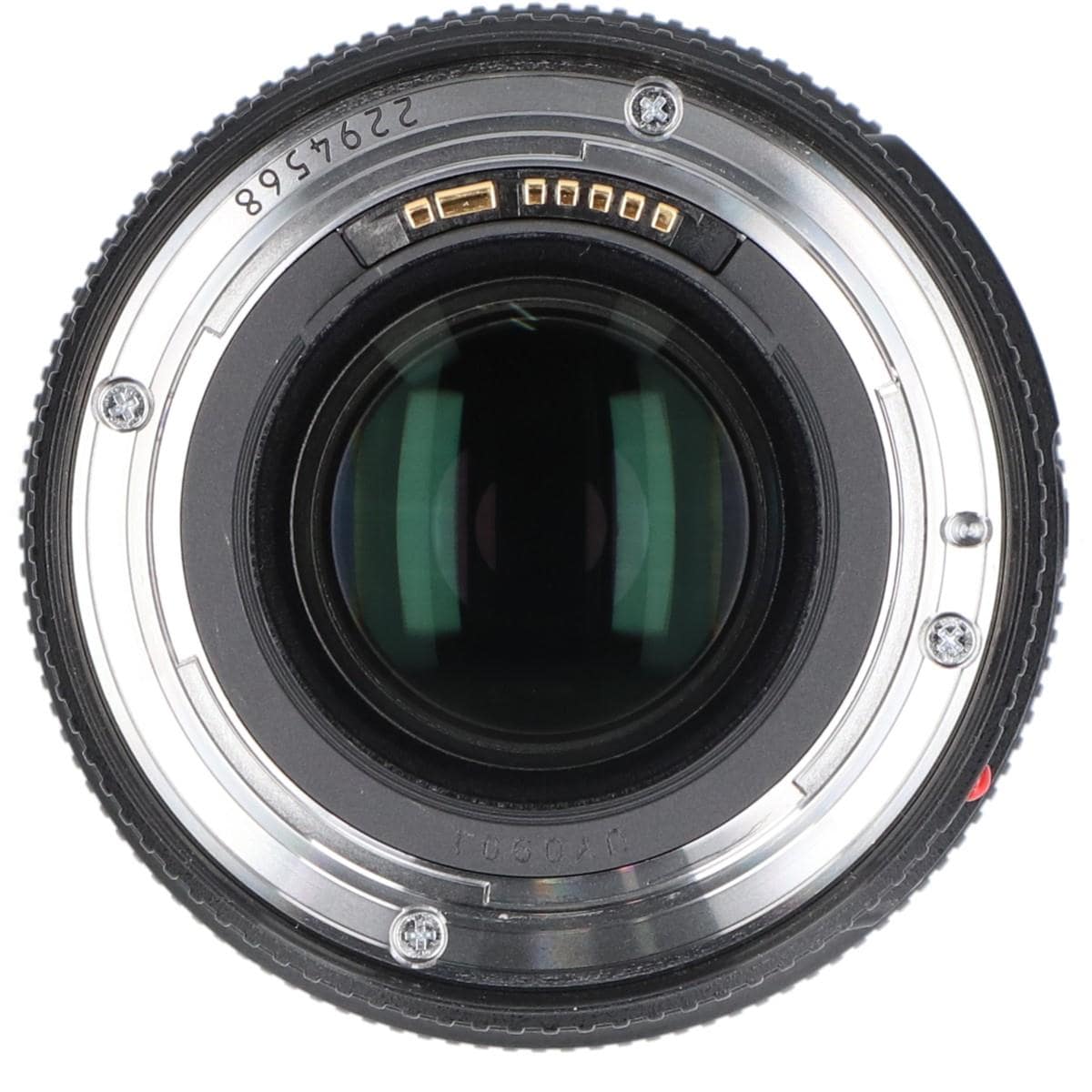 ＥＦ１００ｍｍ　Ｆ２．８Ｌ　ＭＡＣＲＯ　ＩＳ　ＵＳＭ