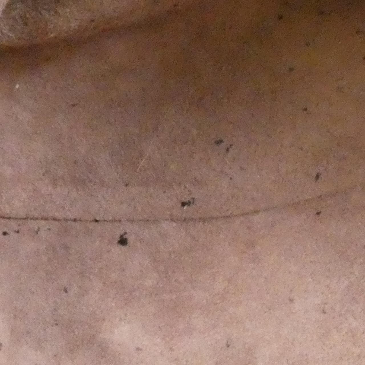 ボッテガヴェネタ リュックサック