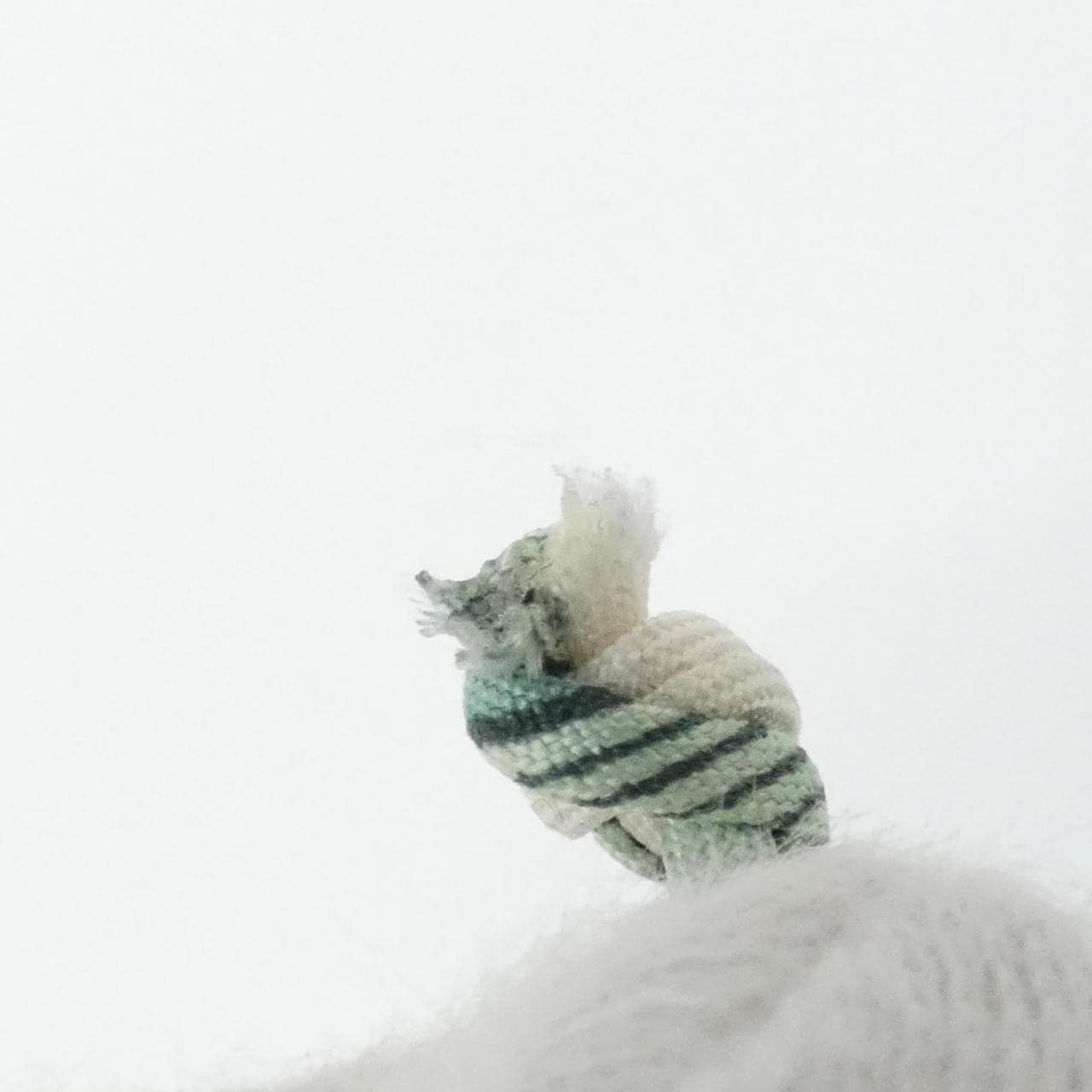 エルメス CHIHUAHUA 1065948 バッグチャーム