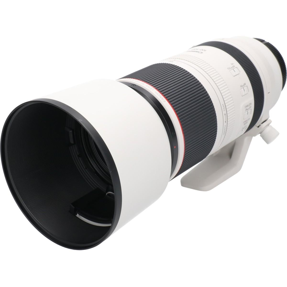 ＲＦ１００－５００ｍｍ　Ｆ４．５－７．１Ｌ　ＩＳ　ＵＳＭ