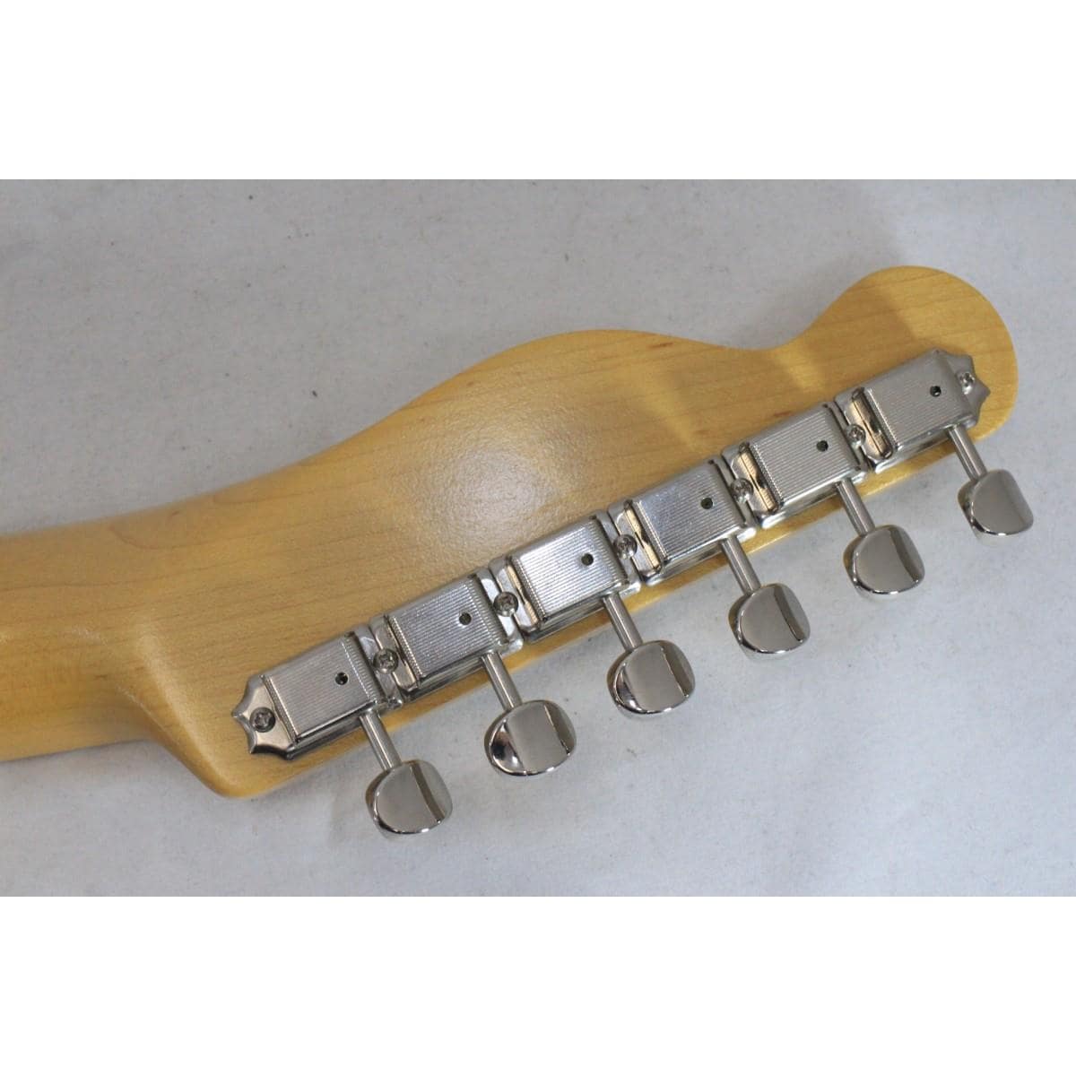 KING SNAKE SIDEWINDER