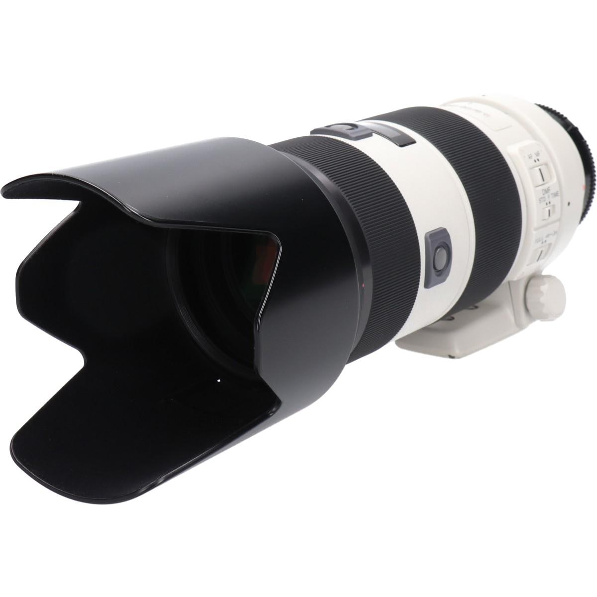 ７０－２００ｍｍ　Ｆ２．８Ｇ（ＳＡＬ７０２００Ｇ）