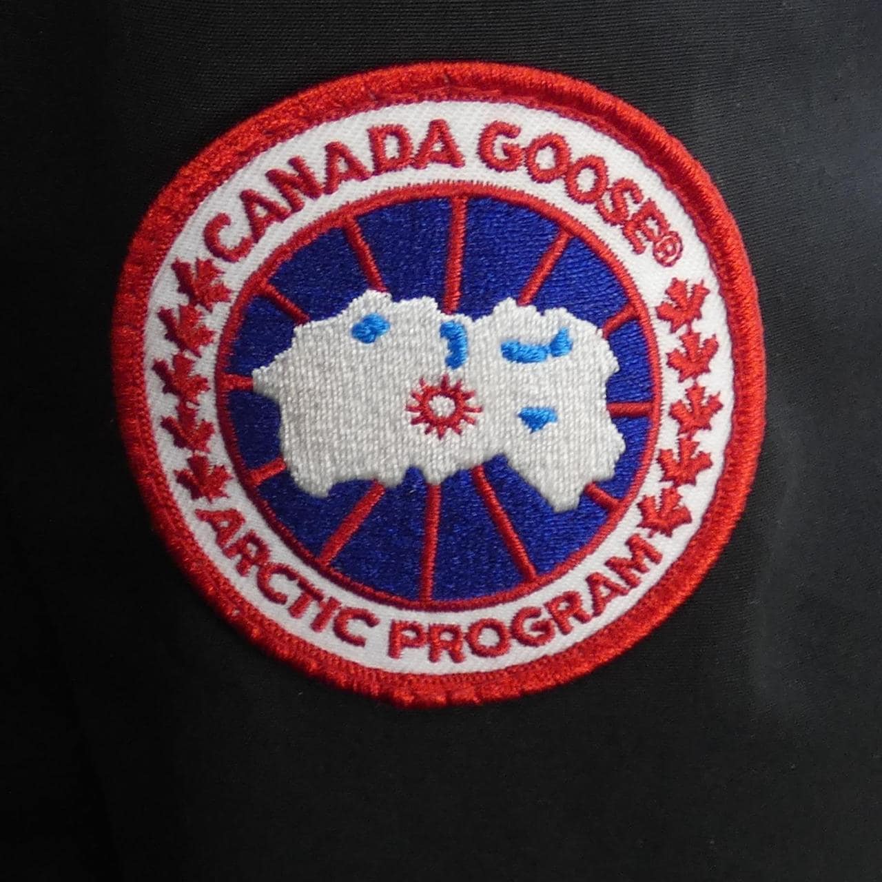 Canada goose CANADA GOOSE down jacket