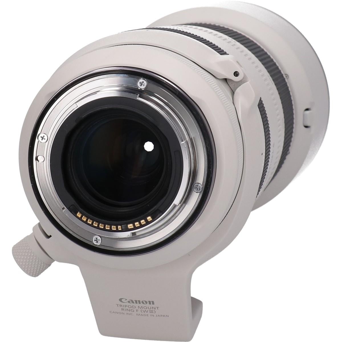 ＲＦ１００－５００ｍｍ　Ｆ４．５－７．１Ｌ　ＩＳ　ＵＳＭ