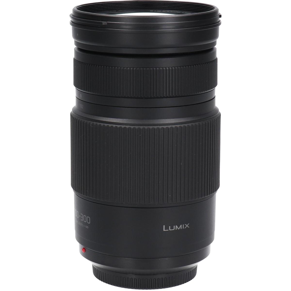 Ｇ１００－３００ｍｍ　Ｆ４－５．６ＩＩＰＯＷＥＲ　ＯＩＳ