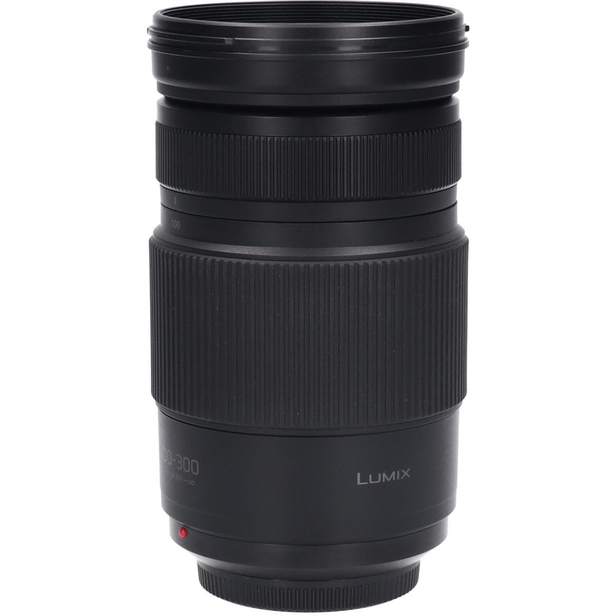 Ｇ１００－３００ｍｍ　Ｆ４－５．６ＩＩＰＯＷＥＲ　ＯＩＳ