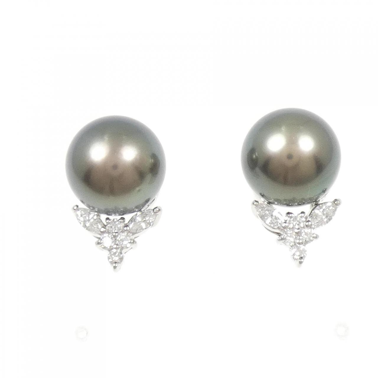 PT900 黒蝶パール ピアス 11.6mm