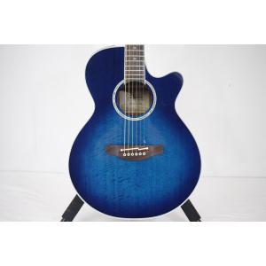 ＴＡＫＡＭＩＮＥ　ＰＴＵ１２１Ｃ