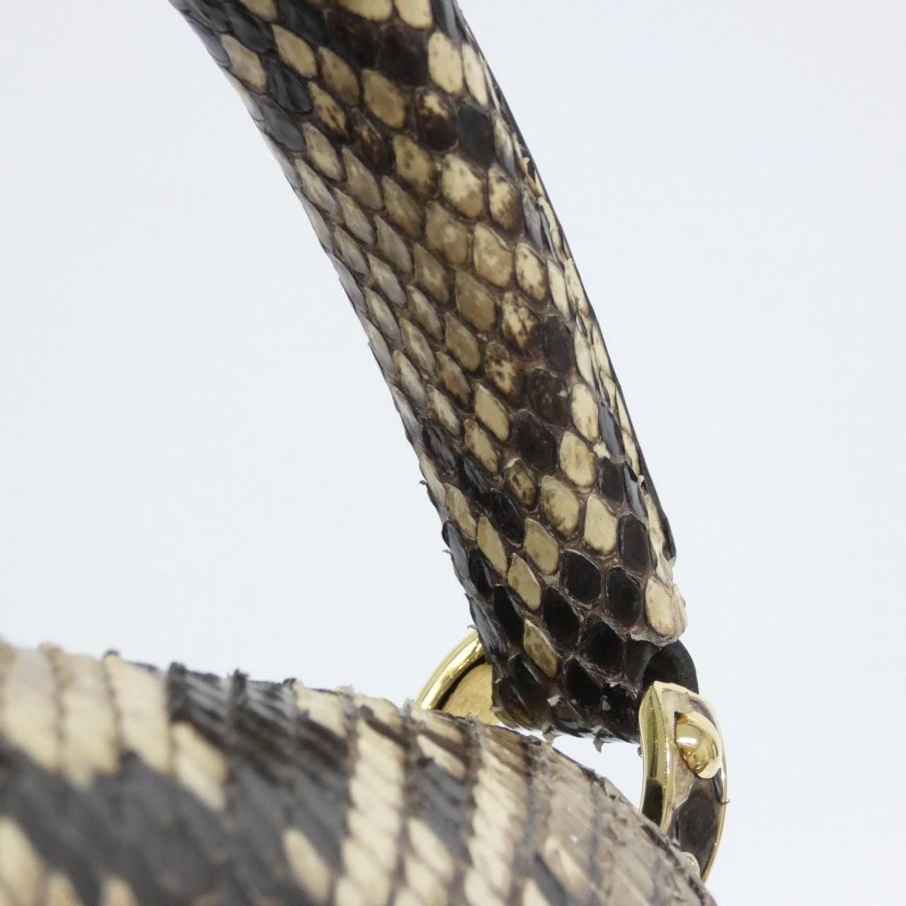 ルイヴィトン エキゾチック レザー カプシーヌ MINI N96467 バッグ