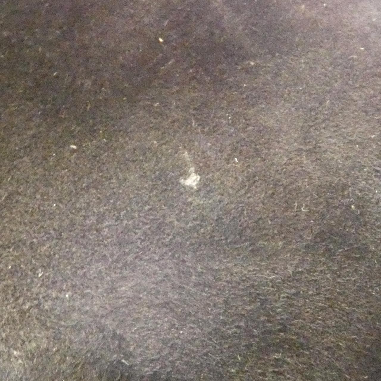 クリスチャンディオール レディ ディオール ミディアム M0565ONGE バッグ