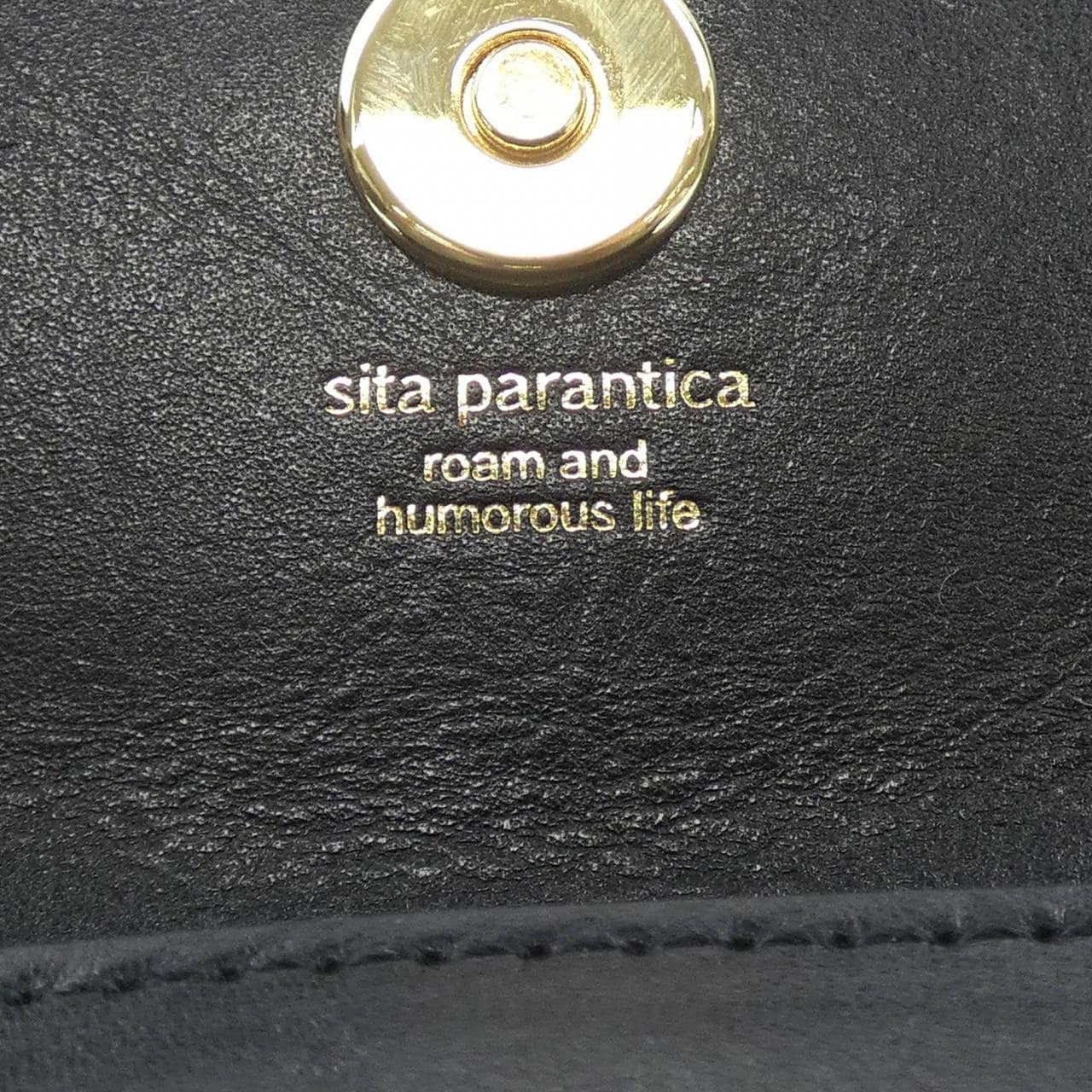 シータパランティカ sita parantica BAG