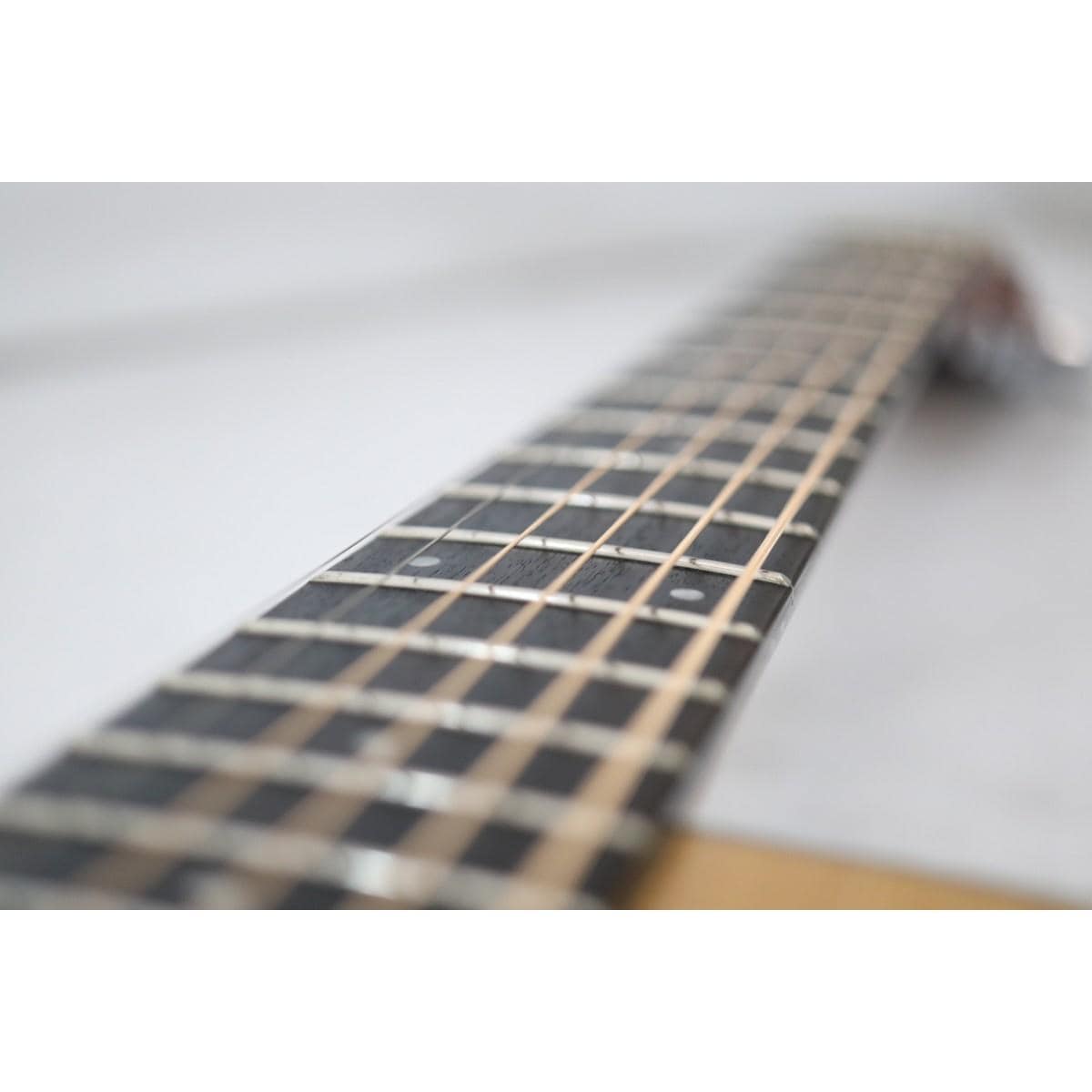 ＴＡＹＬＯＲ ２１４ＣＥ－ＫＯＡ／ＬＨ